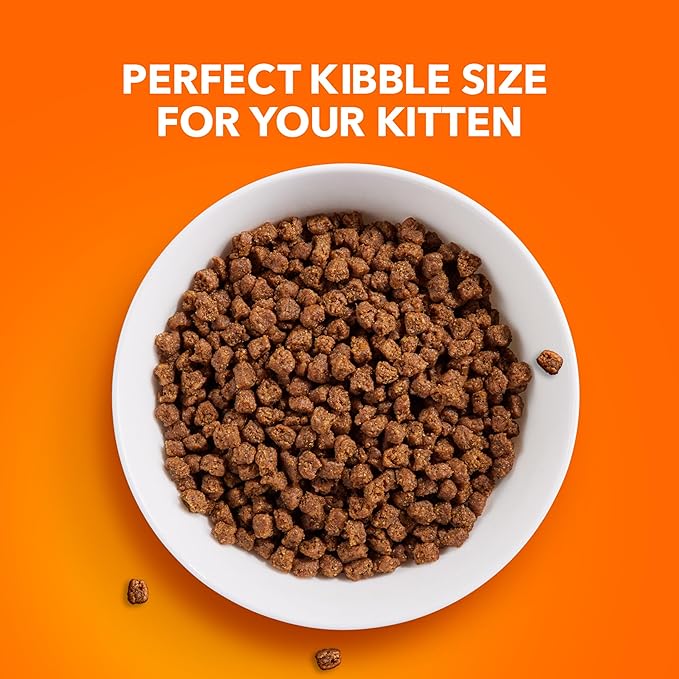 IAMS PROACTIVE HEALTH Healthy Kitten Dry Cat Food with Chicken, 7 lb. Bag - PAWPICO