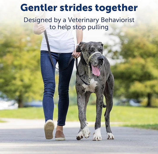 PetSafe Gentle Leader No-Pull Dog Headcollar - The Ultimate Solution to Pulling - Redirects Your Dog's Pulling for Easier Walks - Helps You Regain Control - Small, Charcoal - PAWPICO