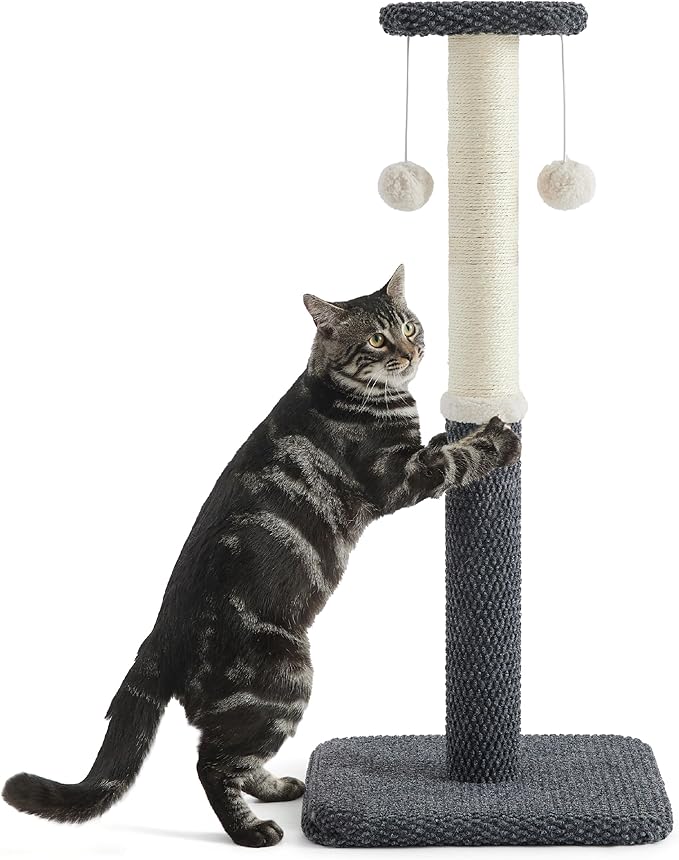 Lesure 34" Tall Cat Scratching Post - Highly Resistant Carpet Scratch Post, Premium Sisal Rope Scratch Posts Kitten and Adult Cats, Sturdy Large Scratch Pole with Hanging Ball, Grey - PAWPICO
