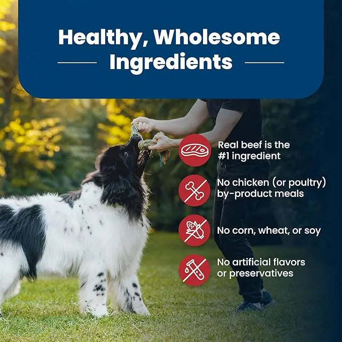 Blue Buffalo Life Protection Formula Adult Dry Dog Food, Helps Build and Maintain Strong Muscles, Made with Natural Ingredients, Beef & Brown Rice Recipe, 34-lb. Bag - PAWPICO