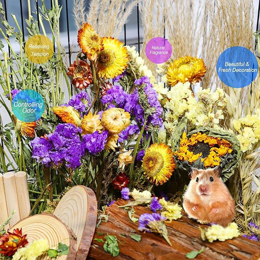 Natural Hamster Bedding, Hamster Herbs Flowers for Hamster Cage Enclosure Habitat Decor Hamster Sprays for Dwarf Syrian Guinea Hamsters Gerbil Degus or Other Small Animals (Floral Fragrance Version) ALWZ-RDY