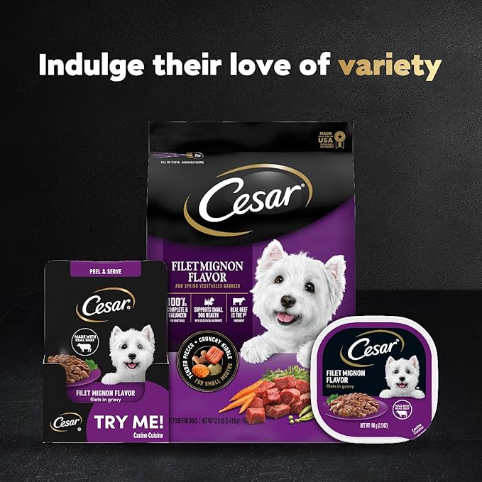 Cesar Filets in Gravy Wet Dog Food Filet Mignon Flavor, 1.76 oz. Mini-Pouch, 20 Pack - PAWPICO