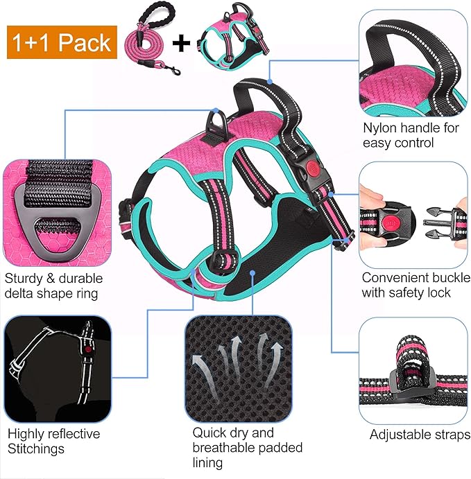 tobeDRI No Pull Dog Harness Adjustable Reflective Oxford Easy Control Medium Large Dog Harness with A Free Heavy Duty 5ft Dog Leash - PAWPICO