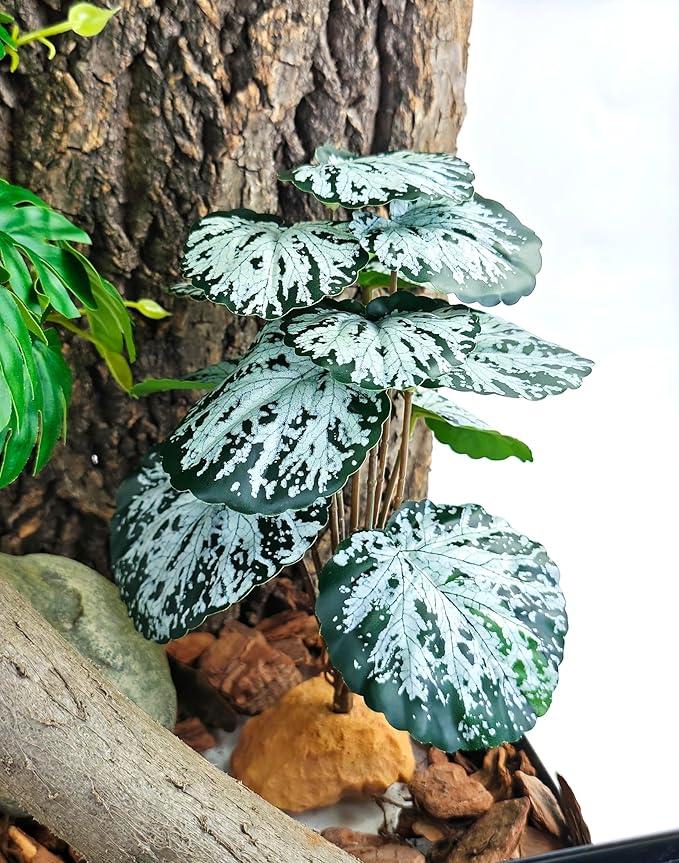 Woyrise Reptile Artificial Plants for Terrarium Decor, Amphibian Habitat Decorations Bearded Dragon Tank Accessories fit Crested Gecko Leopard Lizard Chameleon Snake Frog - Fake Spots Heuchera Woyrise