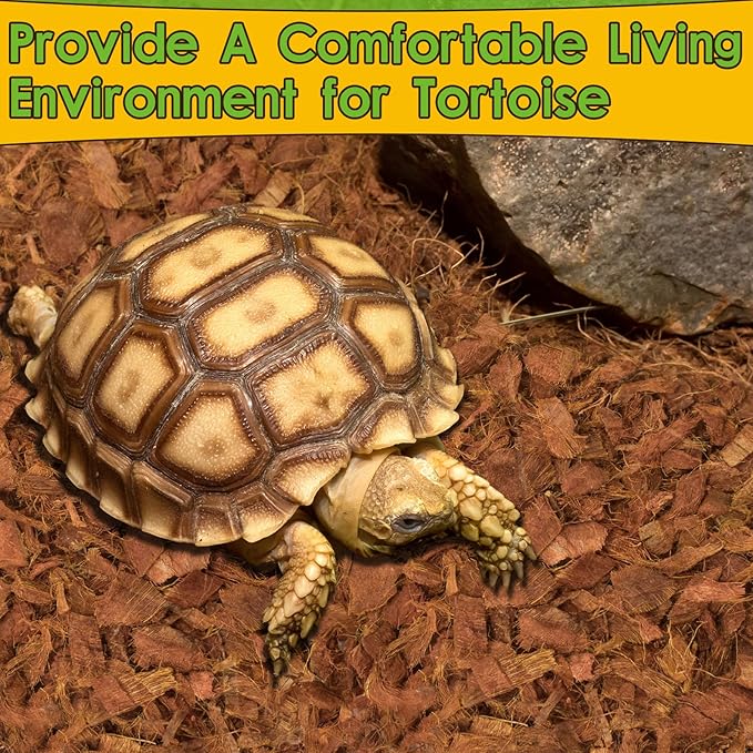 Halatool 6Pack Compressed Coconut Chips Brick Natural Coconut Husk for Reptiles Bedding Coco Coir Chips Terrarium Substrate for Ball Python Frog Snake Gecko Hermit Crab Tortoise HALATOOL