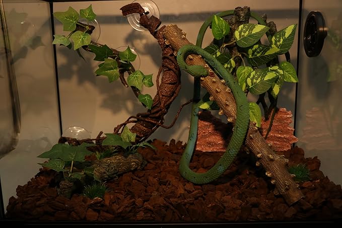 AQUA KT Reptile Climbing Corner Stick Branch Rain Forest Style for Snake Lizard Hermit Crab Bearded Dragon Terrarium Habitat Decoration AQUAKT