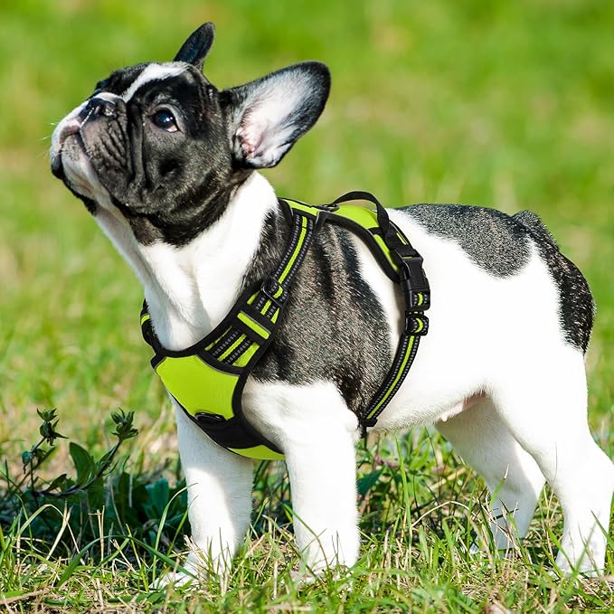 Eagloo Dog Harness Small Sized Dog, No Pull Service Vest with Reflective Strips and Control Handle, Adjustable and Comfortable for Easy Walking, No Choke Pet Harness with 2 Metal Rings, Green, S GoExplorewithEagloo