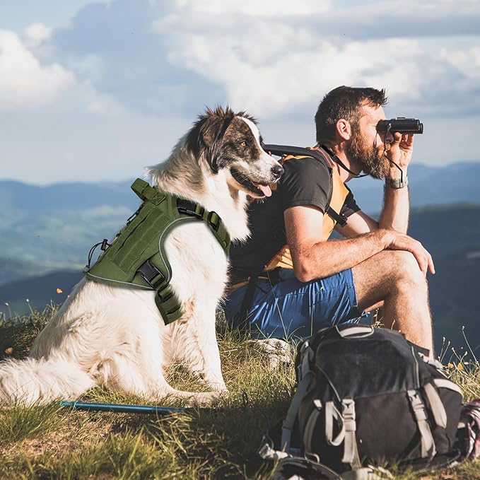 WINGOIN Green Harness with Handle Tactical Dog Harness for Large Dogs No Pull Adjustable Reflective K9 Military Dog Vest Harnesses with Easy Control Handle and Hook & Loop Pa(XL) - PAWPICO