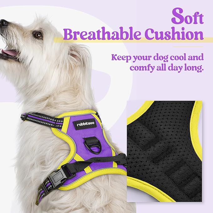 rabbitgoo Dog Harness No Pull with 2 Leash Clips, Adjustable Soft Padded, Reflective Oxford No Choke Pet Vest with Easy Control Handle for Puppy, Purple & Yellow, XS rabbitgoo