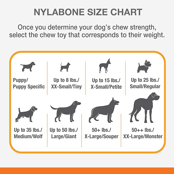 Nylabone Power Chew Flavor Frenzy Bone Chew Toy for Dogs, Indestructible Chew Toys for Aggressive Chewers, Chili Cheese Dog, & Popcorn & Cherry Flavor, Small/Regular - Up to 25 Ibs. (3 Count) - PAWPICO