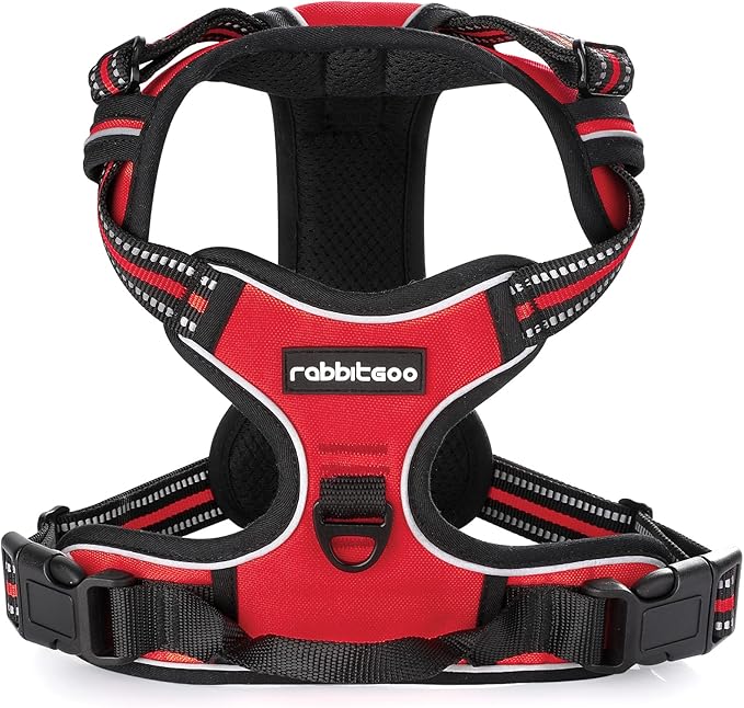 rabbitgoo Dog Harness No Pull with 2 Leash Clips, Adjustable Soft Padded, Reflective Oxford No Choke Pet Vest with Easy Control Handle for Large Dogs, Red, XL rabbitgoo
