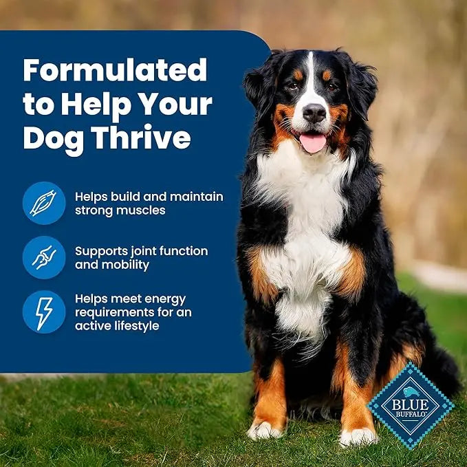 Blue Buffalo Life Protection Formula Adult Dry Dog Food, Helps Build and Maintain Strong Muscles, Made with Natural Ingredients, Chicken & Brown Rice Recipe, 34-lb. Bag - PAWPICO