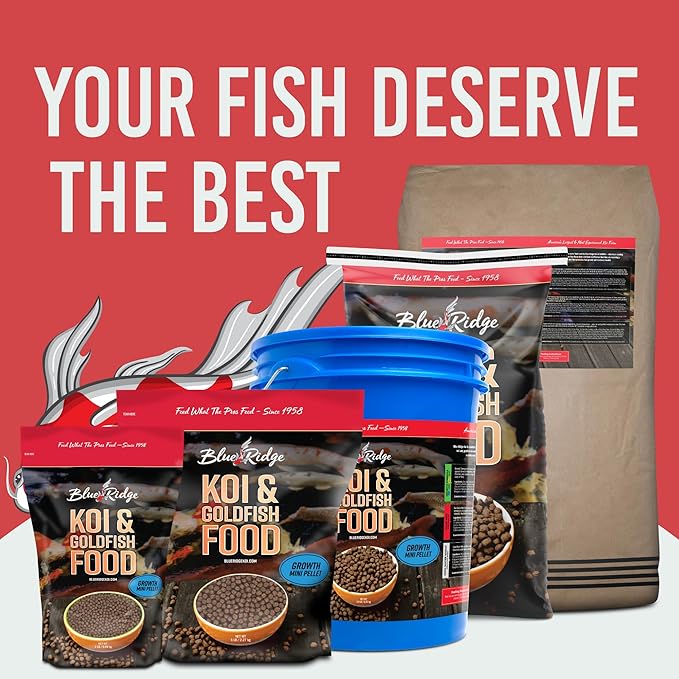Blue Ridge Koi Fish Food 2lb - Koi Food Mini Growth Formula Goldfish Food, Premium Fish Food for Ponds, Ponds Fish Food, Koi Food Fall and Winter Fish Food, Floating Pond Pellets Fish Food BlueRidgeFishHatchery