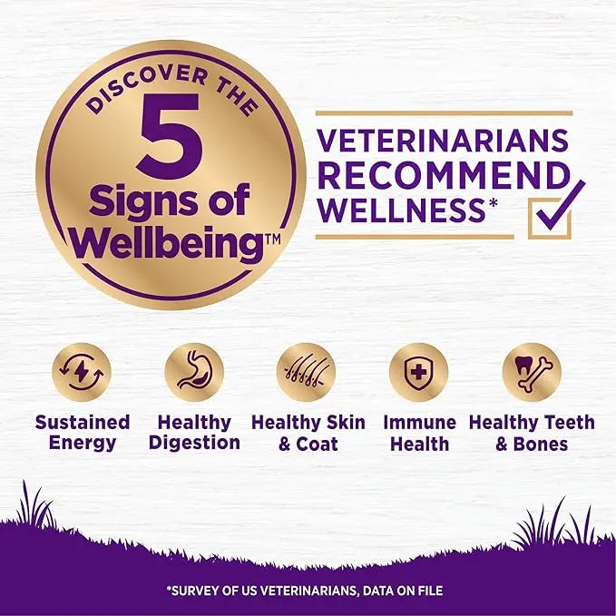Wellness Complete Health Dry Dog Food with Grains, Natural Ingredients, Made in USA with Real Meat, All Breeds, For Adult Dogs (Healthy Weight - Chicken & Potatoes, 5-Pound Bag) - PAWPICO