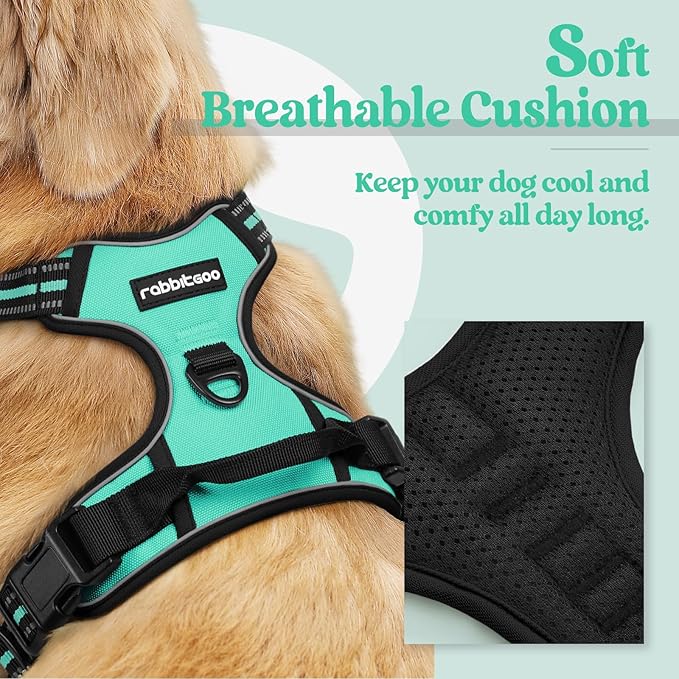 rabbitgoo Dog Harness No Pull with 2 Leash Clips, Adjustable Soft Padded, Reflective Oxford No Choke Pet Vest with Easy Control Handle for Large Dogs, Turquoise, L rabbitgoo