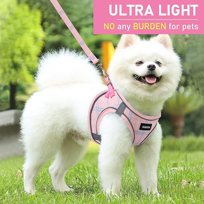 GAMUDA Small Dog Harness Collar and Leash Set, Step in No Chock No Pull Soft Mesh Adjustable Dog Vest Harnesses Plaid Reflective for Dogs Puppy Cats Kitten Rabbit (Pink, XS) GAMUDACollarsCollection