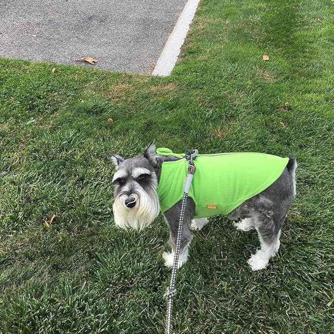 Gooby Zip Up Fleece Dog Sweater - Lime, X-Small - Warm Pullover Fleece Step-in Dog Jacket with Dual D Ring Leash - Winter Small Dog Sweater - Dog Clothes for Small Dogs Boy and Medium Dogs - PAWPICO