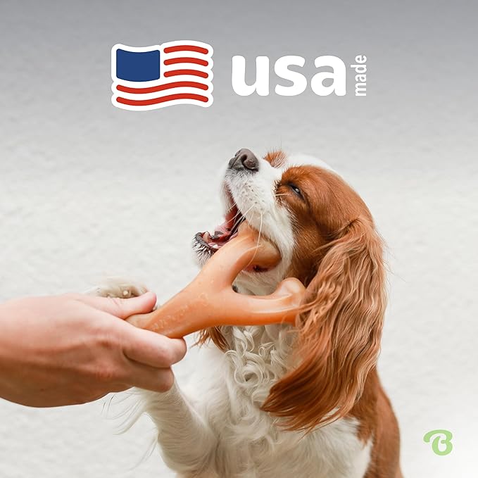 Benebone Wishbone Durable Dog Chew Toy for Aggressive Chewers, Real Peanut, Made in USA, Small, for Any breed - PAWPICO