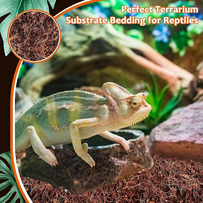 Riare 2 Pack Natural Coconut Fiber Substrate for Reptile- Premium Compressed Coconut Husk Terrarium Bedding for Reptile, Tortoise, Frogs, Snakes Hermit Crabs, Burrowing Animals Riare
