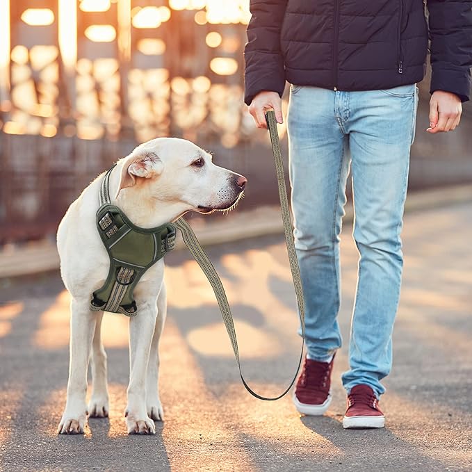 No Pull Dog Harness for Medium Dogs, Adjustable No Choke Pet Vest with Dog Leash Fit Smart Reflective Pet Walking Harness for Training Easy Control Soft Handle Green M BUMBIN