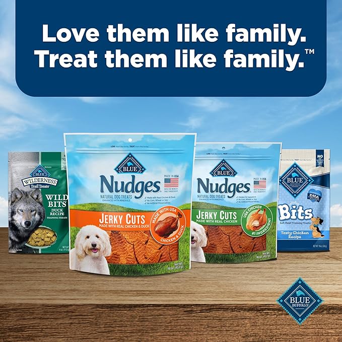 Blue Buffalo Nudges Jerky Cuts Dog Treats, Made in the USA with Natural Ingredients, Chicken & Duck, 16-oz Bag - PAWPICO