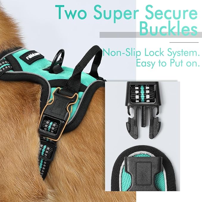 rabbitgoo Dog Harness, No-Pull Pet Harness with 2 Leash Clips, Adjustable Soft Padded Dog Vest, Reflective No-Choke Pet Oxford Vest with Easy Control Handle for Small Dogs, Turquoise, XS - PAWPICO