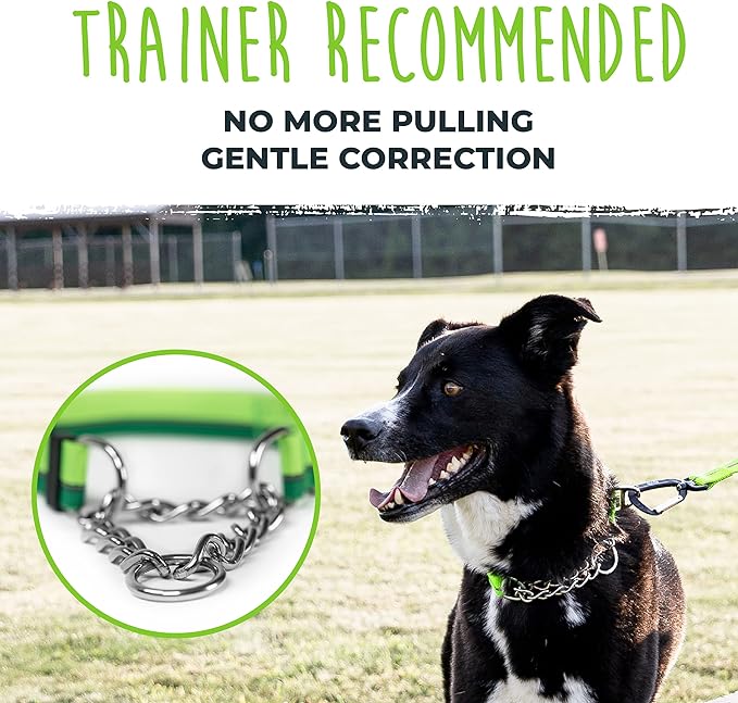 Mighty Paw Martingale Dog Collar 2.0 | Trainer Approved Limited Slip Collar with Stainless Steel Chain & Heavy Duty Buckle - Modified Cinch for Gentle & Effective Pet Training - S/M, Green MightyPaw