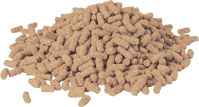 Tetra TetraPond Pond Sticks 3.53 Ounces, Pond Fish Food, for Goldfish and Koi, Pond Pond Sticks, Healthy Nutrition for Goldfish and Koi (Pack of 2) Tetra