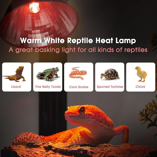 Briignite Reptile Heat Lamp Red, Reptile Night Lamp 50W, G9 Heat Bulb & Dome Reptile Light Fixture, Aluminum Reflector, Dimmable Heat Lamp for Chicken Turtle Snake Gecko Lizard, 2 Pack WelcometoBriigniteenjoyyourshopping