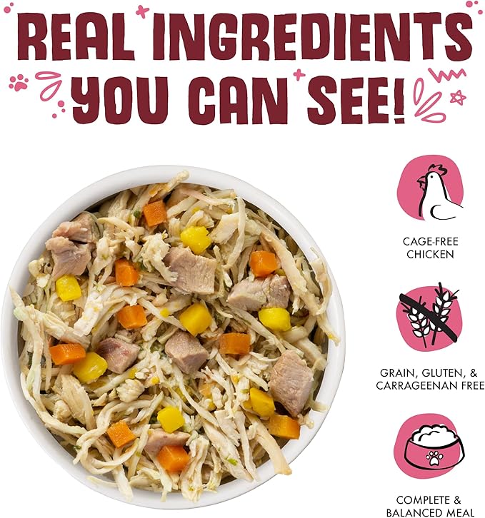 Weruva Classic Dog Food, Peking Ducken with Chicken & Duck in Gravy, 5.5oz Can (Pack of 24), Multi - PAWPICO