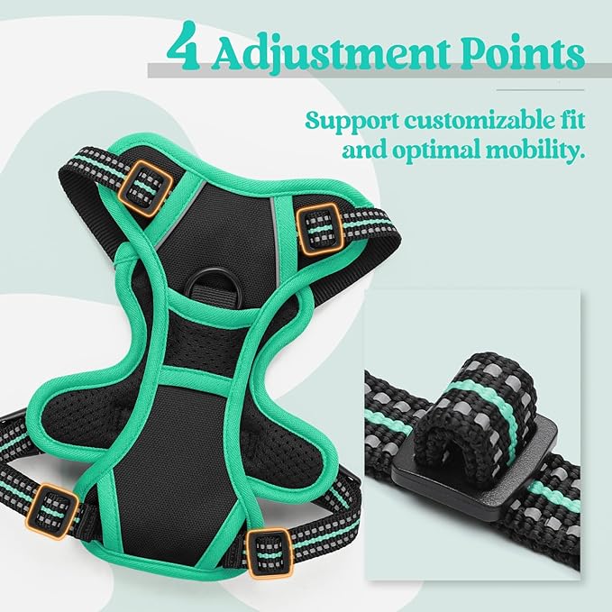 rabbitgoo Dog Harness No Pull with 2 Leash Clips, Adjustable Soft Padded, Reflective Oxford No Choke Pet Vest with Easy Control Handle for Puppy, Black & Turquoise, XS rabbitgoo
