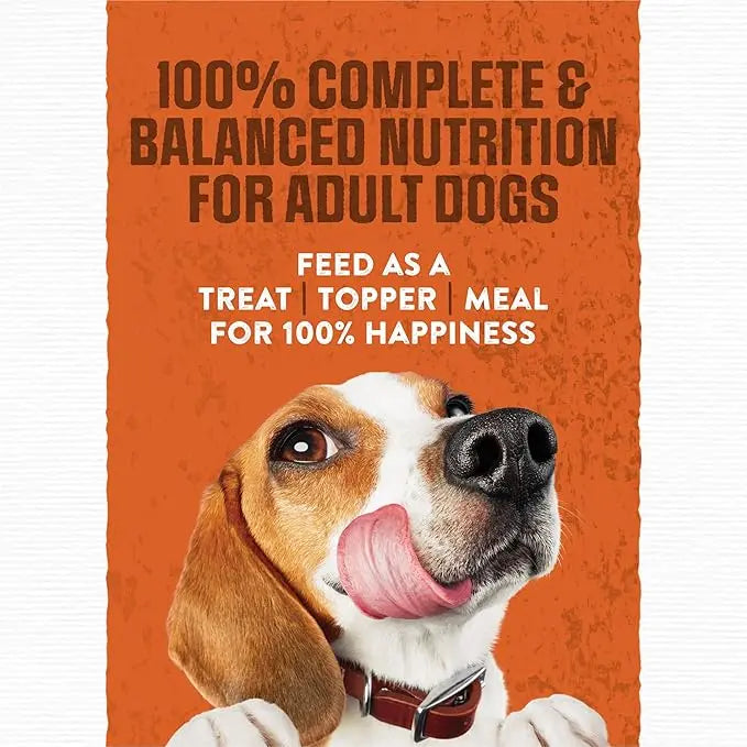Purina Moist and Meaty Burger With Cheddar Cheese Flavor Dry Soft Dog Food Pouches - 36 ct. Pouch - PAWPICO