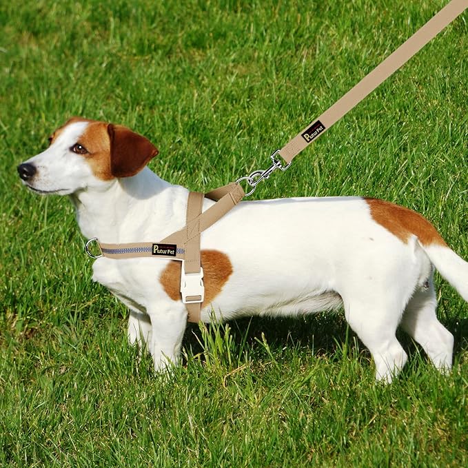 Plutus Pet Cotton Dog Harness and Leash Set, Reflective and Soft Padded, Quick Fit Vest Harness, for Small, Medium and Large Dogs, Beige, M - PAWPICO