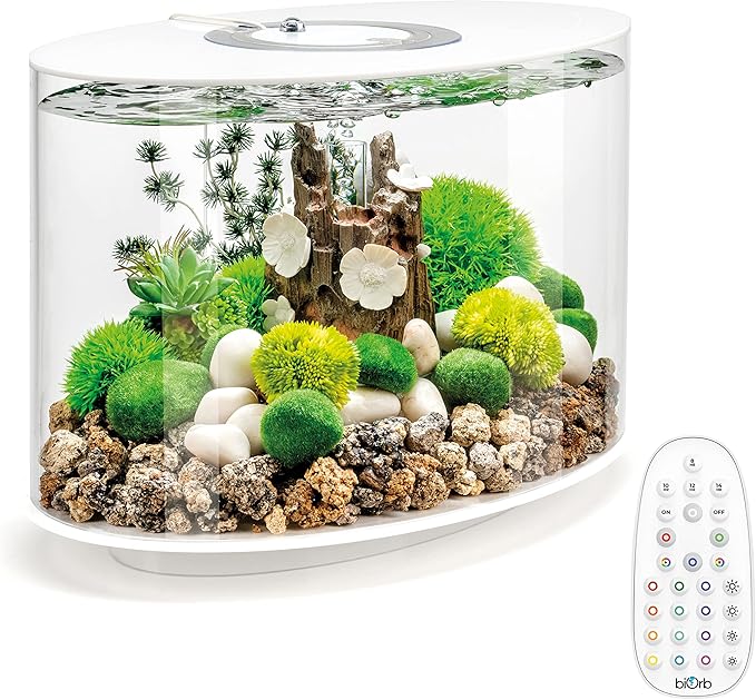 biOrb Loop 15 Acrylic 4-Gallon Aquarium with Multi-Color Remote-Controlled LED Lights Modern Compact Tank for Tabletop or Desktop Display, White-Trimmed Tank biOrb