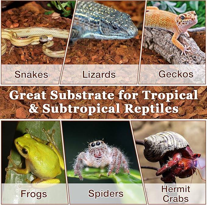 Halatool 10LB Coconut Chips Substrate for Reptiles 72QT Natural Coco Husk Snake Bedding for Ball Python Coco Coir Chip Terrarium Substrate for Tortoise Frog Gecko Hermit Crab Hamster HALATOOL