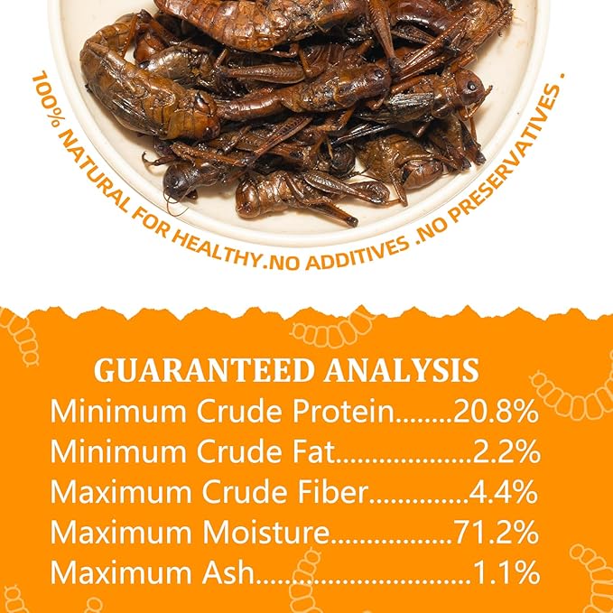 6 Pack Canned Grasshoppers for Reptiles, Fish, Birds and Small Animals, Grasshoppers, Healthy High Protein Treat, Bearded Dragon Food 1.2 Ounces Each Jadingfarm
