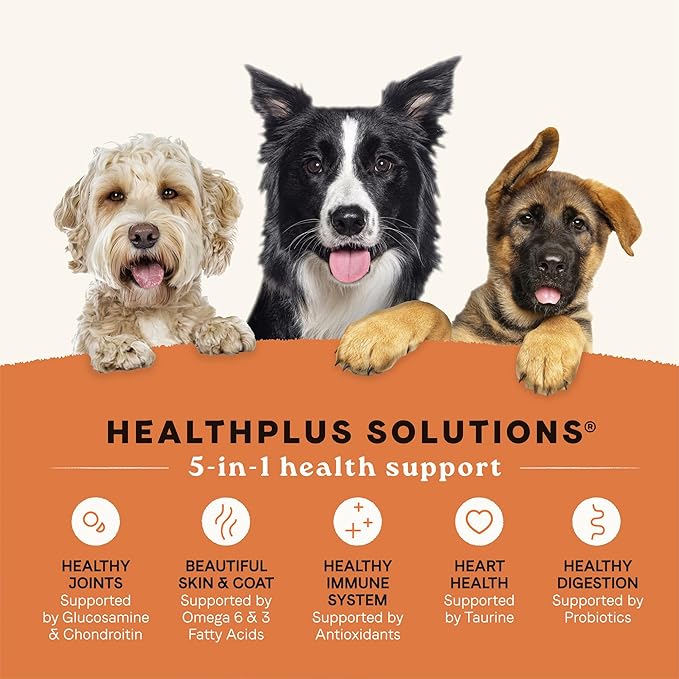 Canidae All Life Stages Real Lamb & Ancient Grains Recipe – High Protein Premium Dry Dog Food for All Ages, Breeds, and Sizes– 5 lbs. - PAWPICO
