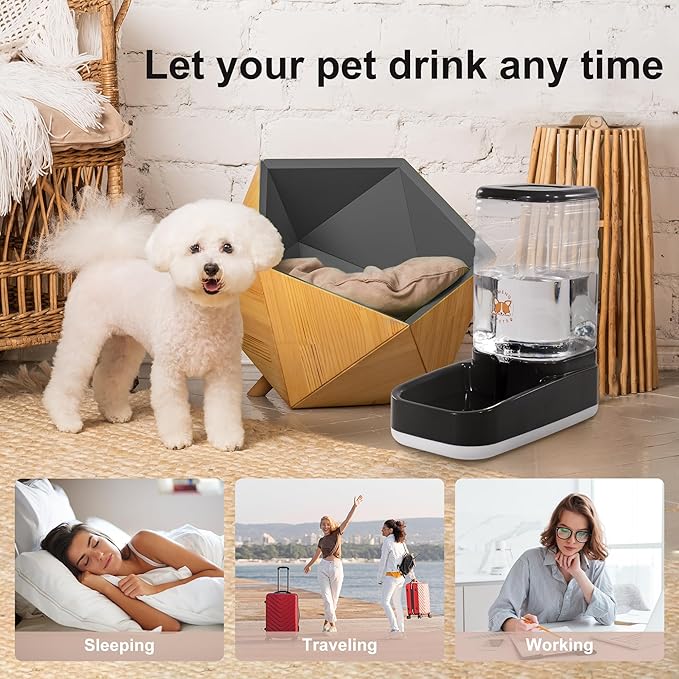 ELEVON Automatic Pet Water Feeder, 3.8L Gravity Cat Water Dispenser with Cat Water Bowl, Large Capacity Water Feeder for Kitten & Small and Medium-Sized Dogs (Black) - PAWPICO