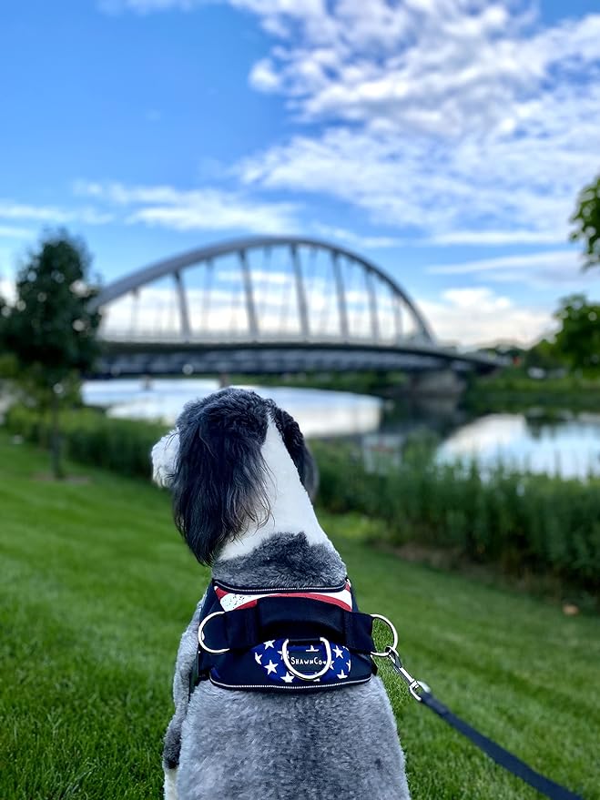 ShawnCo Essential Dog Harness, No-Pull Pet Vest with 3 Leash Clips, No Choke, Reflective, Adjustable and Padded, for Easy Walking and Training for Small, Medium and Large Dogs (Stars and Stripes, XL) SHAWNCO