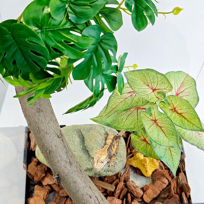 Woyrise Reptile Artificial Plants for Terrarium Decor, Amphibian Habitat Decorations Bearded Dragon Tank Accessories fit Crested Gecko Leopard Lizard Chameleon Ball Python Snake Frog - Fake Caladium Woyrise