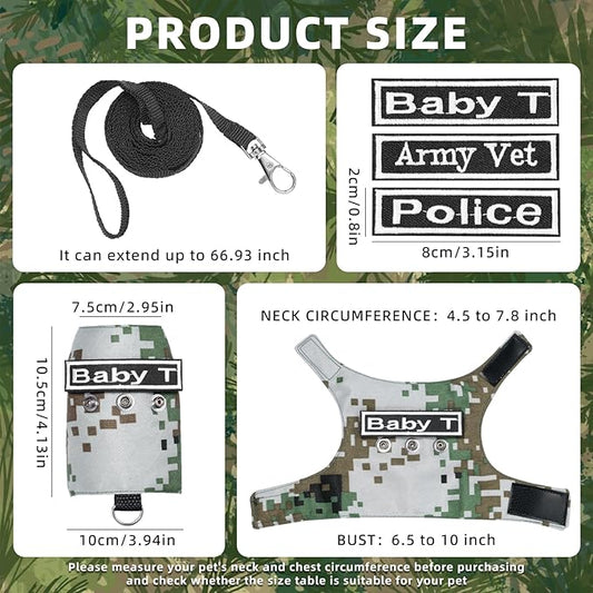 Bearded Dragon Harness and Leash, Adjustable Lizard Bearded Dragon Reptile Harness, Bearded Dragon Lizard Reptiles for Walking Outdoor to Prevent Escape (Green) PAWPICO