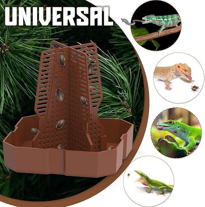 Chameleon Feeding Bowl for Reptile Terrarium, Climbable Design for Reptile to Hunt, Suitable for Feeding Lizards, Bearded Dragons, Geckos, Guardians, Frogs, Reddish Brown, Large Fischuel