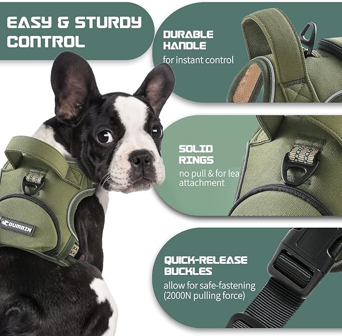 No Pull Dog Harness for Medium Dogs, Adjustable No Choke Pet Vest with Dog Leash Fit Smart Reflective Pet Walking Harness for Training Easy Control Soft Handle Green M BUMBIN