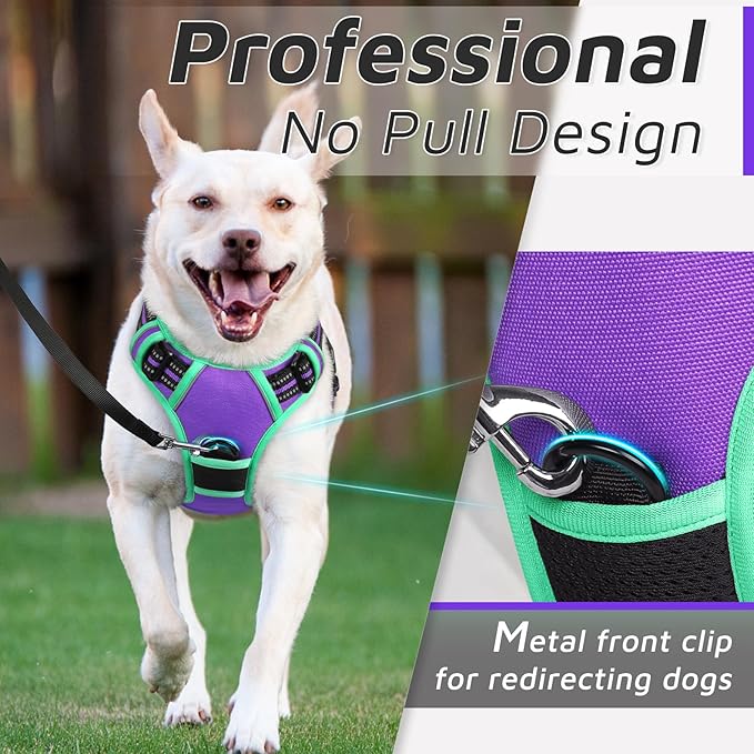 Eagloo Dog Harness for Large Dogs, No Pull Service Vest with Reflective Strips and Control Handle, Adjustable and Comfortable for Easy Walking, No Choke Harness with 2 Metal Rings, Purple & Green, S GoExplorewithEagloo