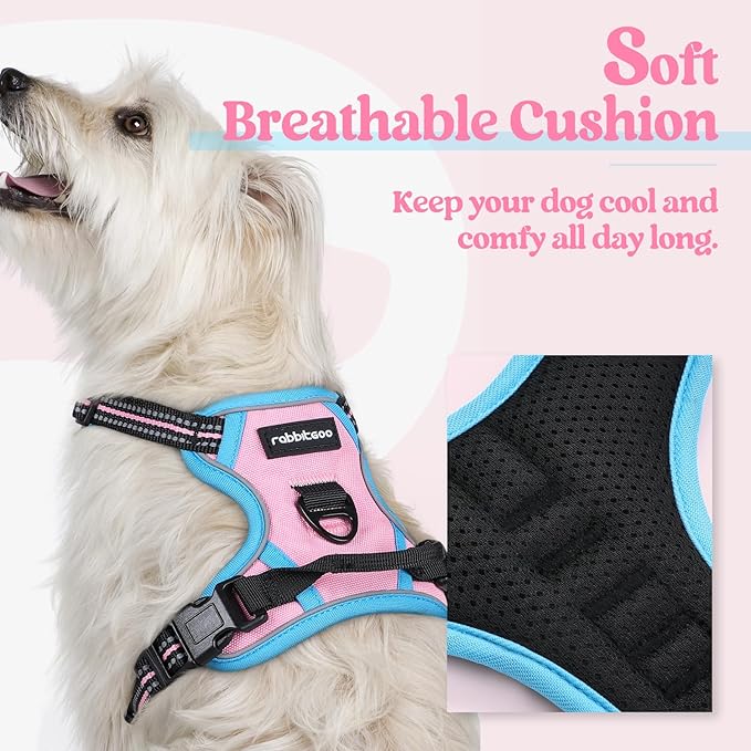 rabbitgoo Dog Harness No Pull with 2 Leash Clips, Adjustable Soft Padded, Reflective Oxford No Choke Pet Vest with Easy Control Handle for Puppy, Pink & Blue, XS rabbitgoo