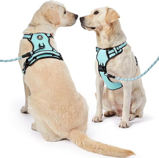 NESTROAD No Pull Dog Harness,Adjustable Oxford Dog Vest Harness with Leash,Reflective No-Choke Pet Harness with Easy Control Soft Handle for Large Dogs(X-Large,Turquoise) NESTROAD