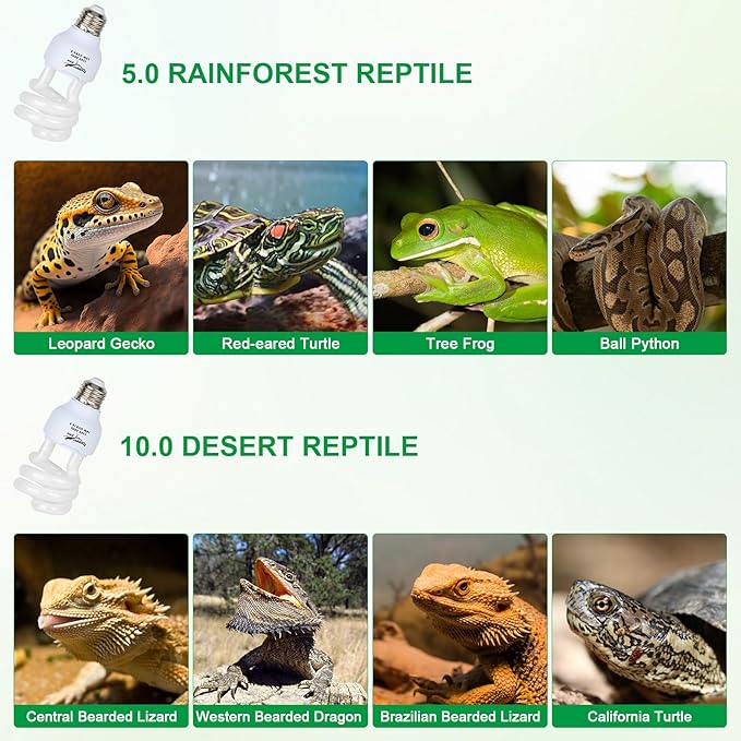 UVB Bulb for Reptiles, 5.0 13W UVA UVB Light Reptile Light Bulb, UVB Light for Rainforest Reptiles, Reptile Light Bulb for Crowned Chameleon, Green Lguana, Tree Frog, Ball Python PAWPICO