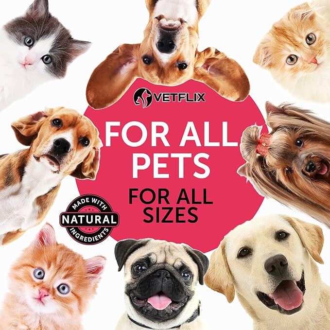 Pet Vitamins 10-in-1 Made in USA - Natural Glucosamine for Dogs & Cats, Essential Multivitamin Blend for Pet Joint Health, Longevity, Gut & Immune Health - All Ages, Breeds and Sizes 2 fl oz Vetflix