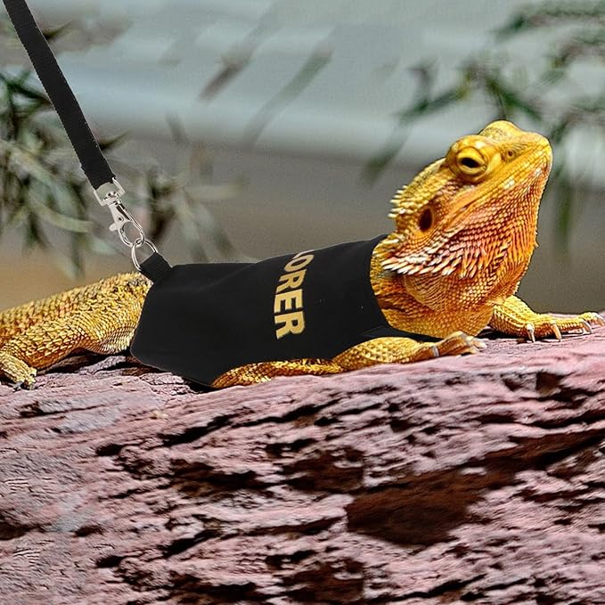 Hypeety Bearded Dragon Harness and Leash Set Adjustable Escape Proof Leash Outdoor Walking Training Leash and Harness for Bearded Dragon Lizard Reptiles Small Pets Black (Explorer) Hypeety