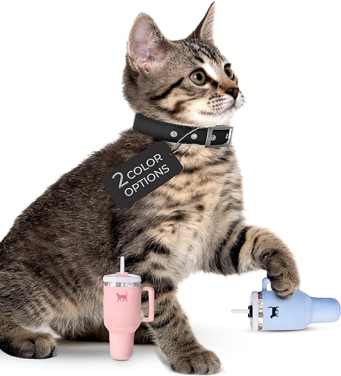 Kitty Cup Tumbler Cat Toy – Cute Cat Toy with Catnip, Crinkle Cat Toys for Cat Birthdays or Christmas, Funny Cat Toys for Kittens (Chambray Blue) - PAWPICO